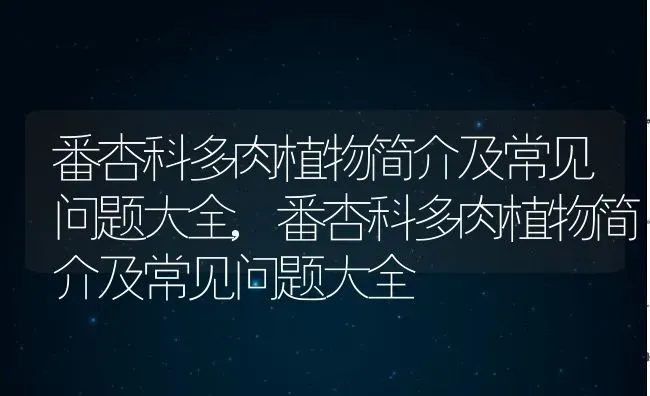 番杏科多肉植物简介及常见问题大全,番杏科多肉植物简介及常见问题大全 | 养殖常见问题