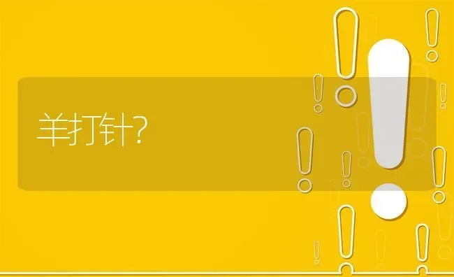 羊打针? | 养殖问题解答