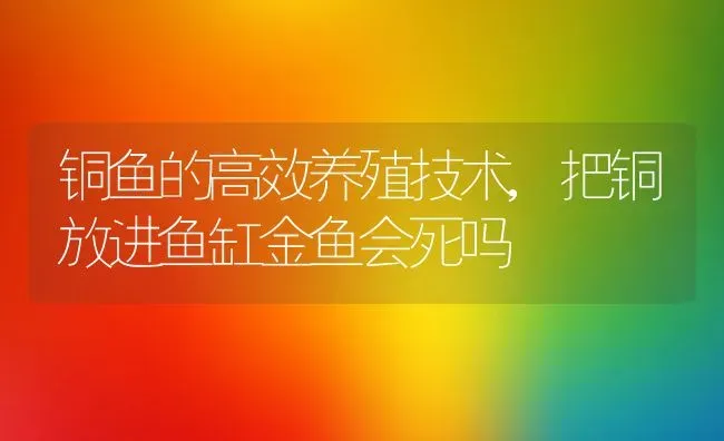 铜鱼的高效养殖技术,把铜放进鱼缸金鱼会死吗 | 养殖常见问题