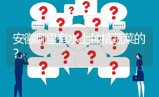 安徽哪里有水上种植蔬菜的? | 养殖问题解答