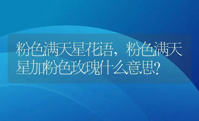 粉色满天星花语,粉色满天星加粉色玫瑰什么意思？ | 养殖常见问题