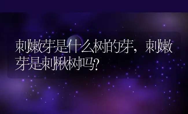 刺嫩芽是什么树的芽,刺嫩芽是刺楸树吗？ | 养殖常见问题