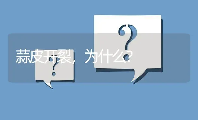 蒜皮开裂,为什么? | 养殖问题解答