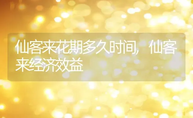 仙客来花期多久时间,仙客来经济效益 | 养殖常见问题