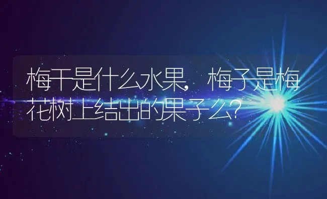 梅干是什么水果,梅子是梅花树上结出的果子么？ | 养殖常见问题