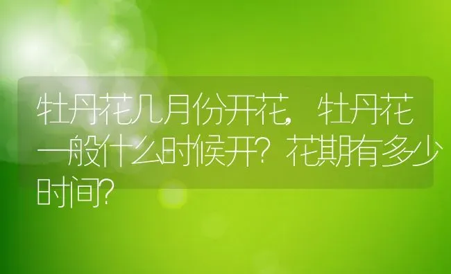 牡丹花几月份开花,牡丹花一般什么时候开？花期有多少时间？ | 养殖常见问题