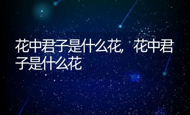花中君子是什么花,花中君子是什么花 | 养殖常见问题