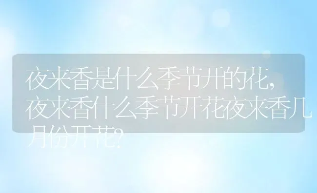 苹果树的花是什么颜色长什么形状样子,苹果树开的花是什么颜色？ | 养殖常见问题