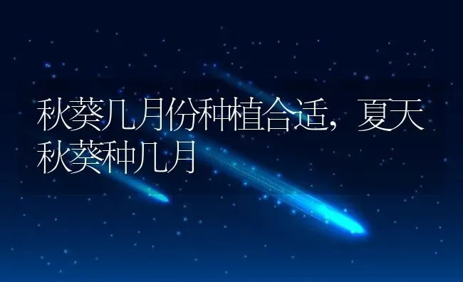 秋葵几月份种植合适,夏天秋葵种几月 | 养殖常见问题