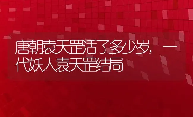 唐朝袁天罡活了多少岁,一代妖人袁天罡结局 | 养殖常见问题