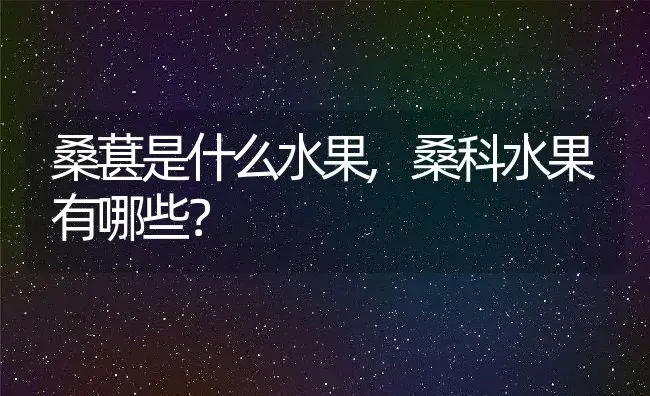 桑葚是什么水果,桑科水果有哪些？ | 养殖常见问题