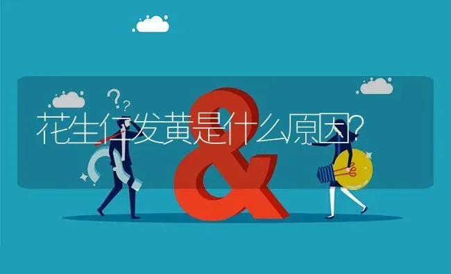 花生仁发黄是什么原因? | 养殖问题解答