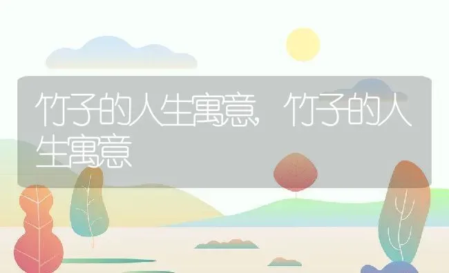 竹子的人生寓意,竹子的人生寓意 | 养殖常见问题