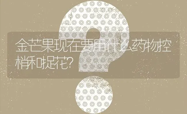 金芒果现在要用什么药物控梢和捉花? | 养殖问题解答