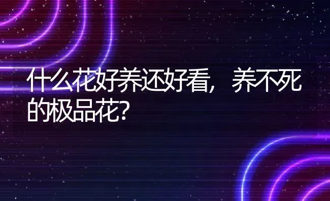 什么花好养还好看,养不死的极品花？ | 养殖常见问题