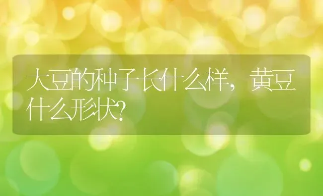 地雷花是一年生还是多年生,地雷花发芽多久开花？ | 养殖常见问题