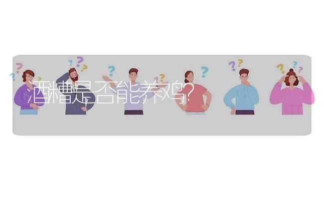 酒糟是否能养鸡? | 养殖问题解答