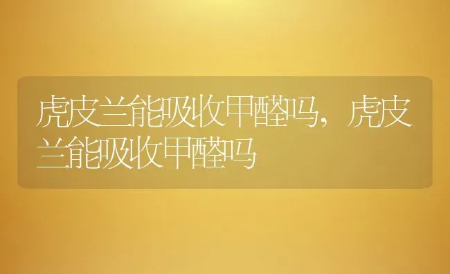 虎皮兰能吸收甲醛吗,虎皮兰能吸收甲醛吗 | 养殖常见问题