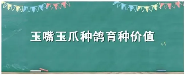 玉嘴玉爪种鸽育种价值 | 农业答疑