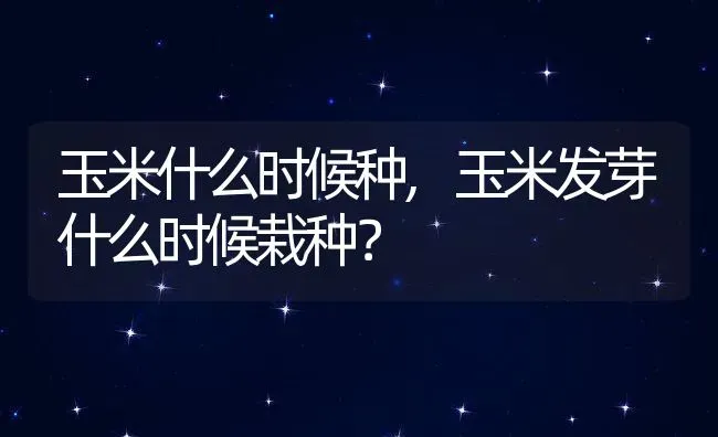 玉米什么时候种,玉米发芽什么时候栽种？ | 养殖常见问题