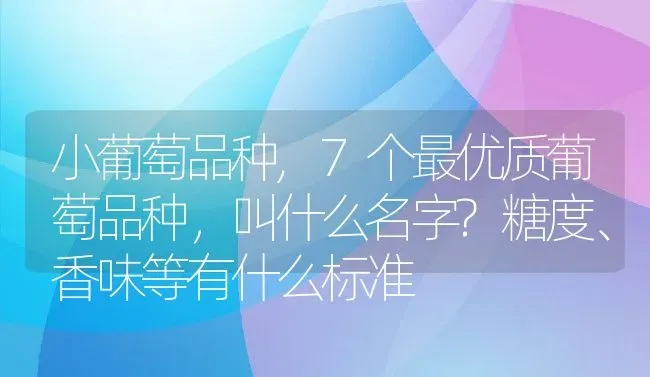 小葡萄品种,7个最优质葡萄品种，叫什么名字?糖度、香味等有什么标准 | 养殖常见问题