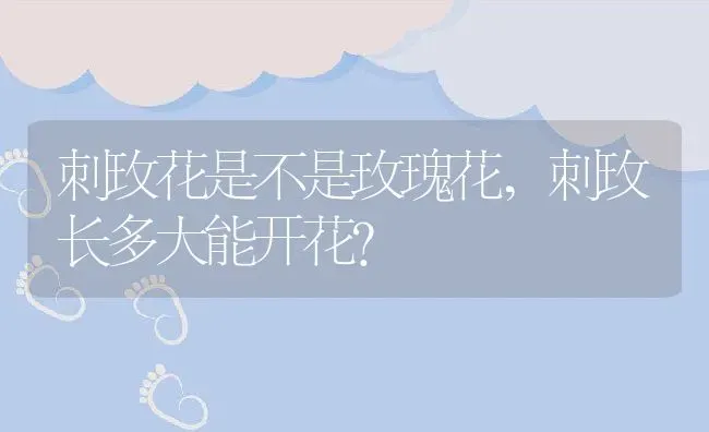 刺玫花是不是玫瑰花,刺玫长多大能开花？ | 养殖常见问题