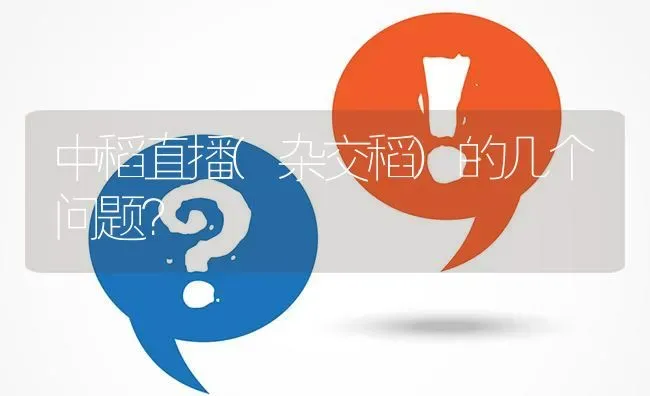 中稻直播(杂交稻)的几个问题? | 养殖问题解答