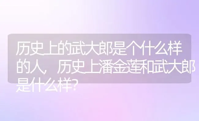 历史上的武大郎是个什么样的人,历史上潘金莲和武大郎是什么样？ | 养殖常见问题