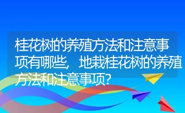 桂花树的养殖方法和注意事项有哪些,地栽桂花树的养殖方法和注意事项？ | 养殖常见问题