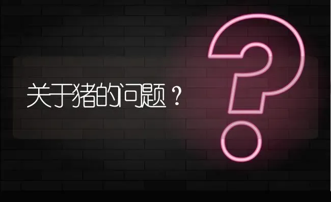 关于猪的问题? | 养殖问题解答