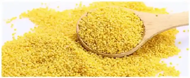 小米什么时候收割成熟 | 三农答疑