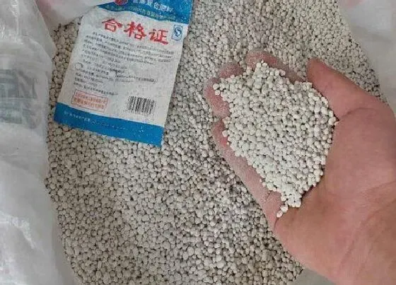 植物常识问题|种地用尿素起什么作用（现代农民不愿意使用尿素施肥）