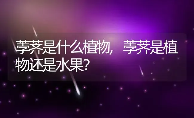 荸荠是什么植物,荸荠是植物还是水果？ | 养殖常见问题