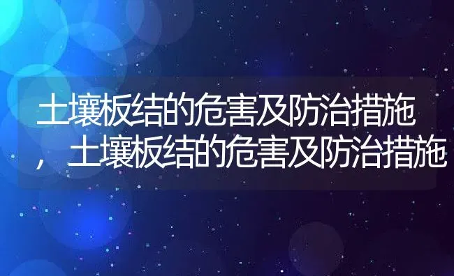 土壤板结的危害及防治措施,土壤板结的危害及防治措施 | 养殖常见问题