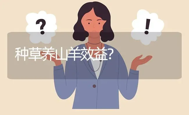 种草养山羊效益? | 养殖问题解答