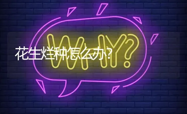 花生烂种怎么办? | 养殖问题解答