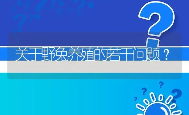 关于野兔养殖的若干问题? | 养殖问题解答