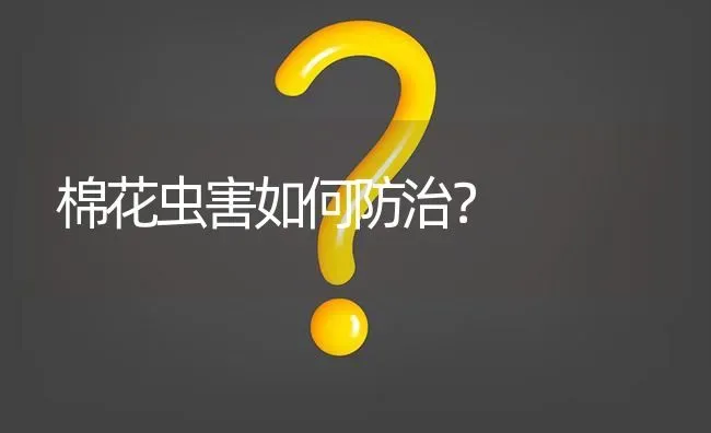棉花虫害如何防治? | 养殖问题解答