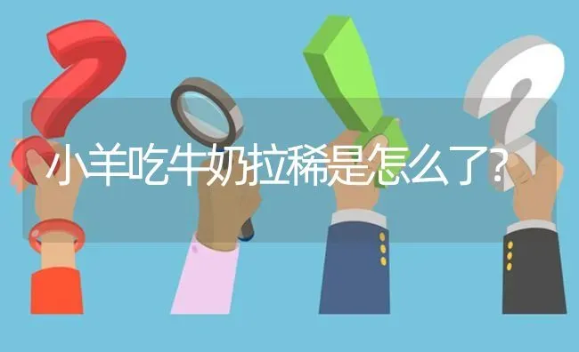 小羊吃牛奶拉稀是怎么了? | 养殖问题解答