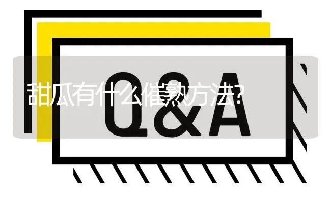 甜瓜有什么催熟方法? | 养殖问题解答