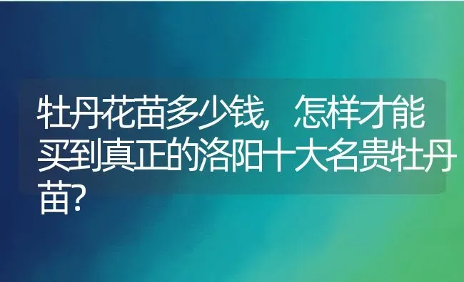 牡丹花苗多少钱,怎样才能买到真正的洛阳十大名贵牡丹苗？ | 养殖常见问题