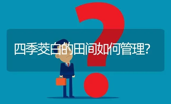 四季茭白的田间如何管理? | 养殖问题解答