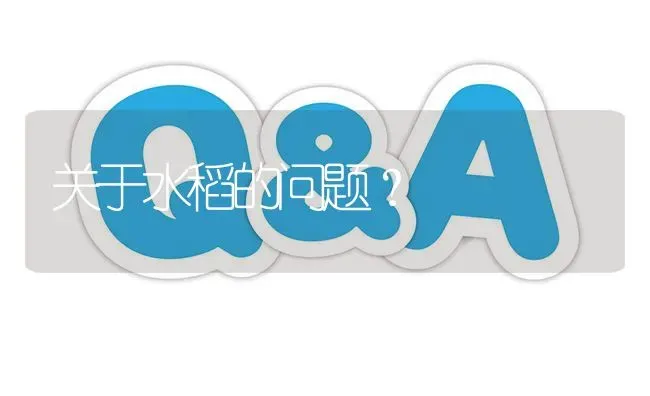 关于水稻的问题? | 养殖问题解答