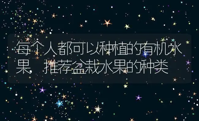 每个人都可以种植的有机水果,推荐盆栽水果的种类 | 养殖常见问题