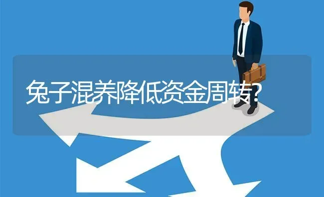 兔子混养降低资金周转? | 养殖问题解答