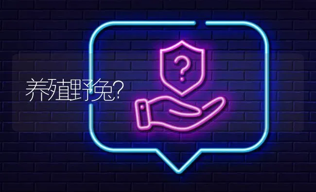 养殖野兔? | 养殖问题解答
