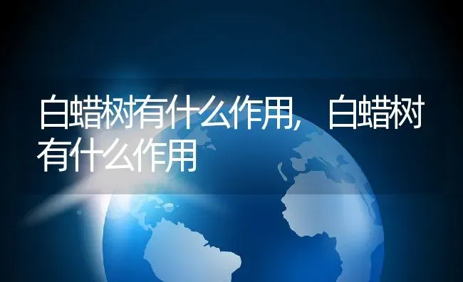 滴水观音开花吗,滴水观音开花吗 | 养殖常见问题