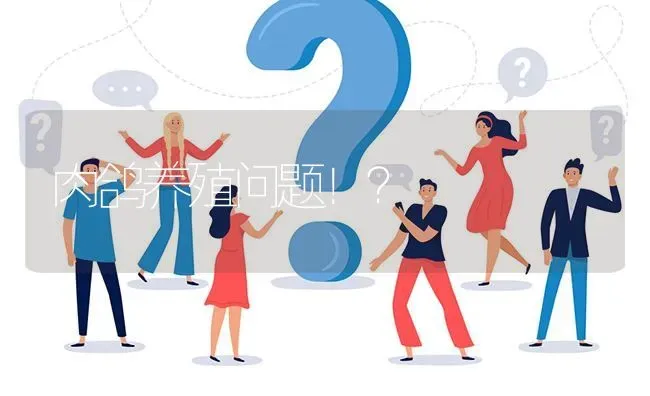 肉鸽养殖问题！? | 养殖问题解答
