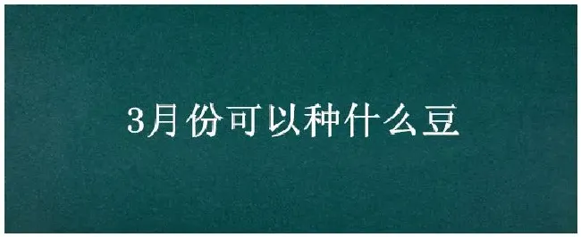 3月份可以种什么豆 | 三农问答