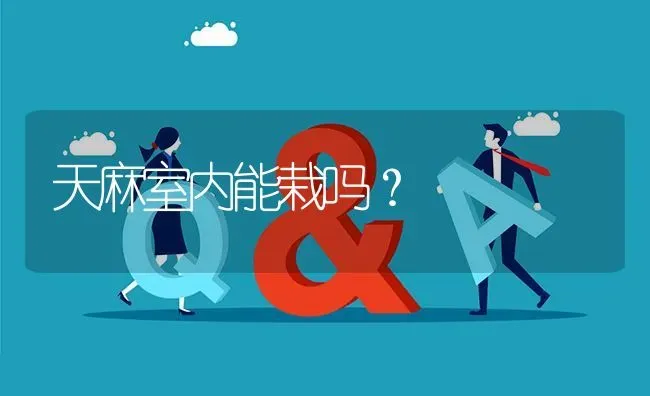 天麻室内能栽吗? | 养殖问题解答